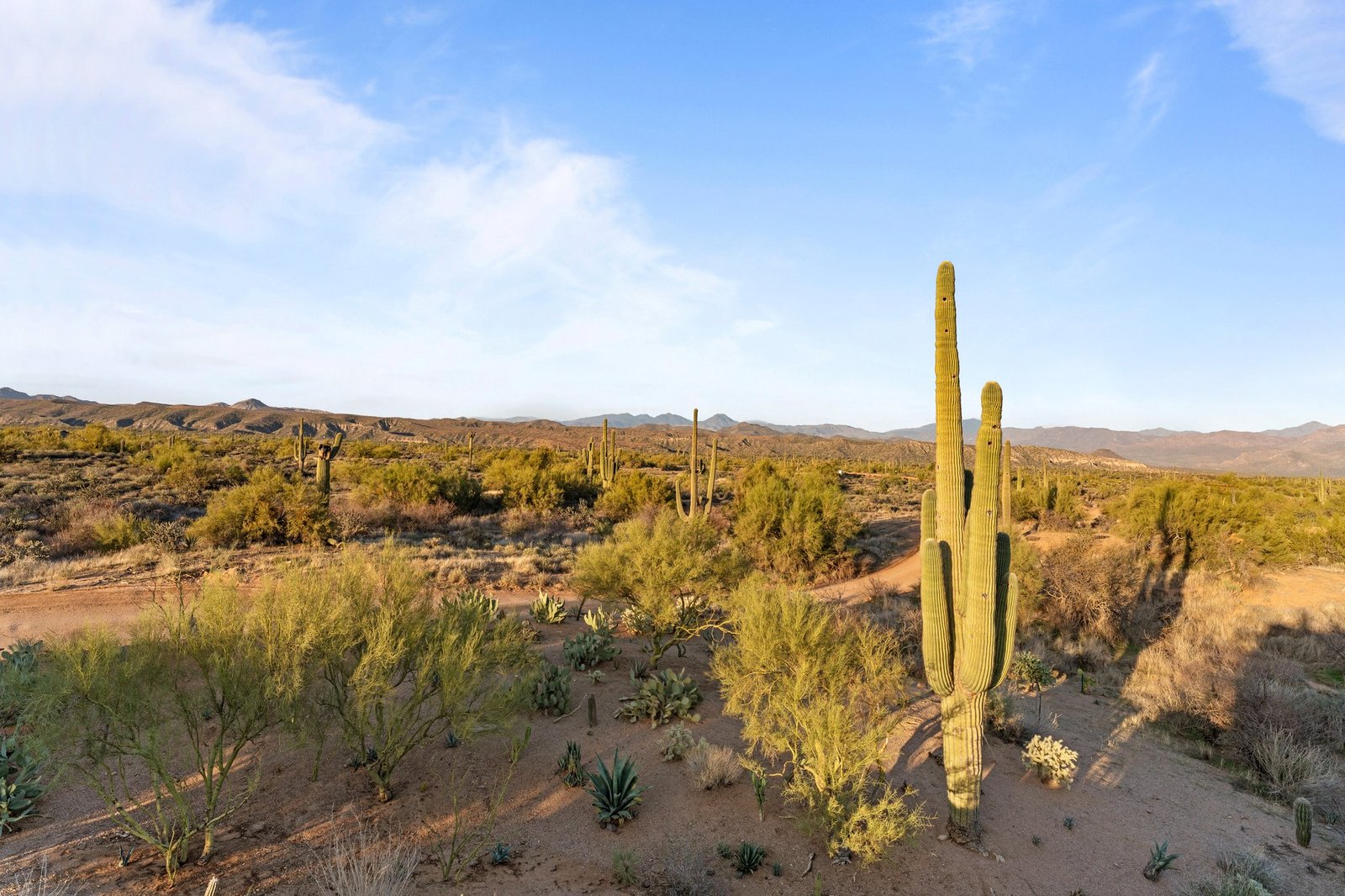 Tonto National Forest wilderness near Rio Verde, Arizona