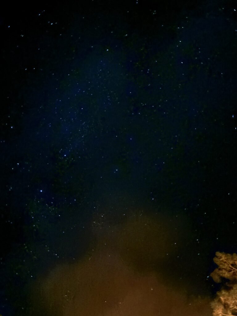 Stars filling the night sky above the pines, photographed from camp