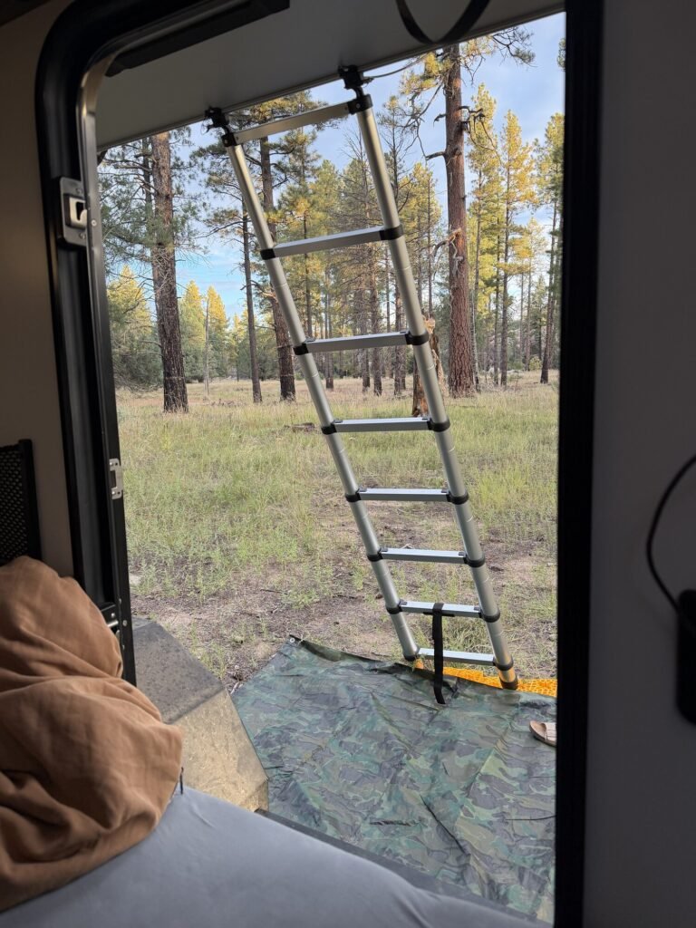 View out the open trailer door to a ladder and the pine forest outside